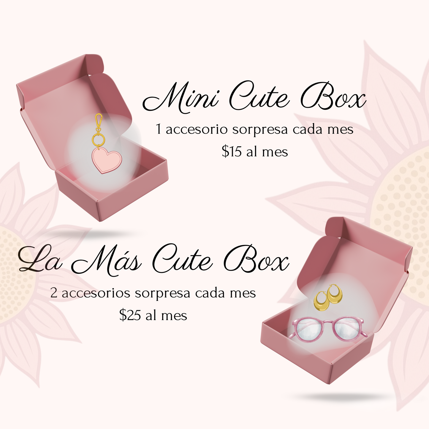 Cute Box Misteriosa - Suscripción mensual de accesorios