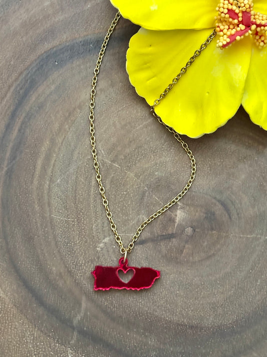 Corazón PR                                         787 Collection